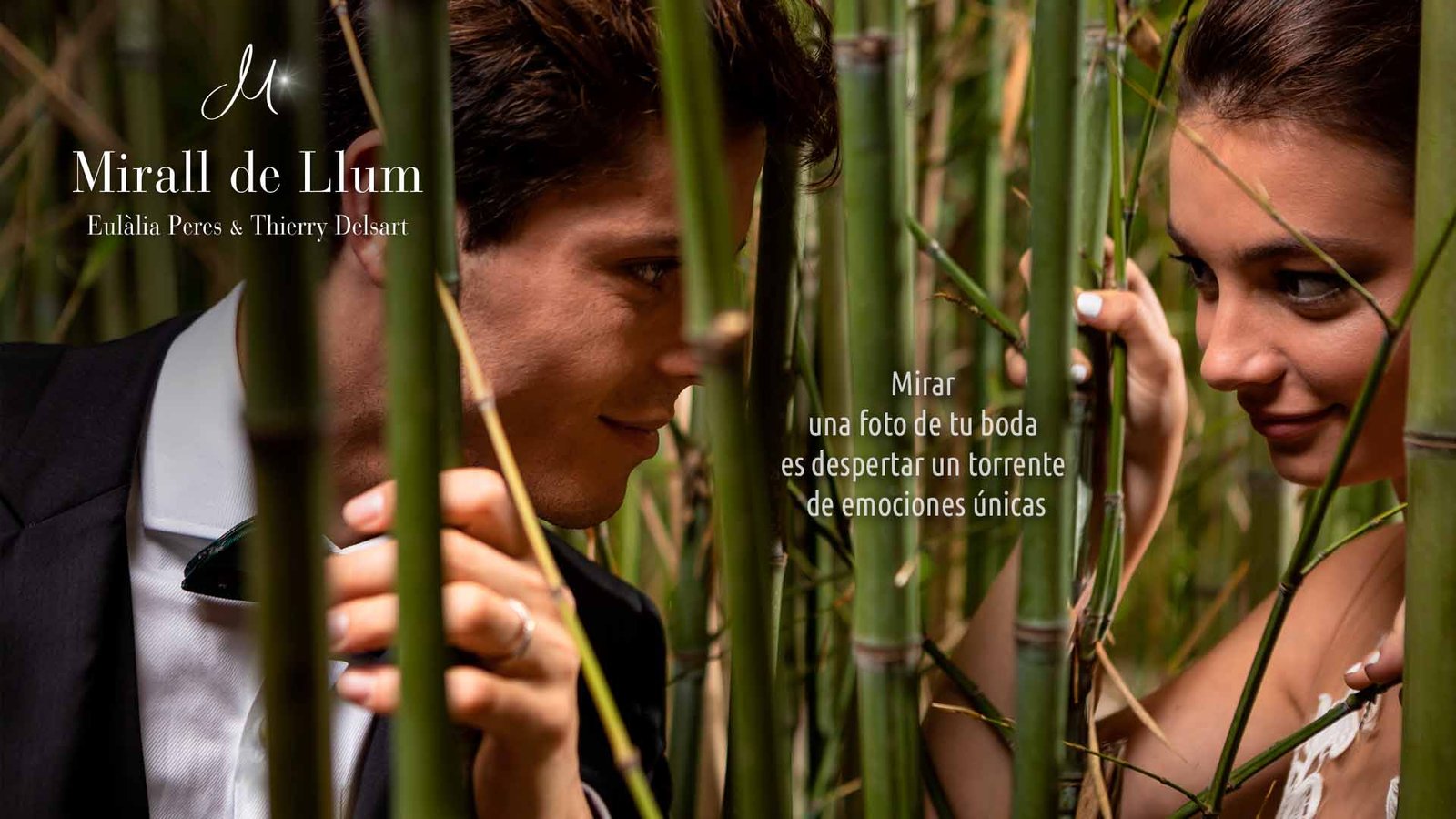 MirallDeLlum - Novios mirandose entre bambús
